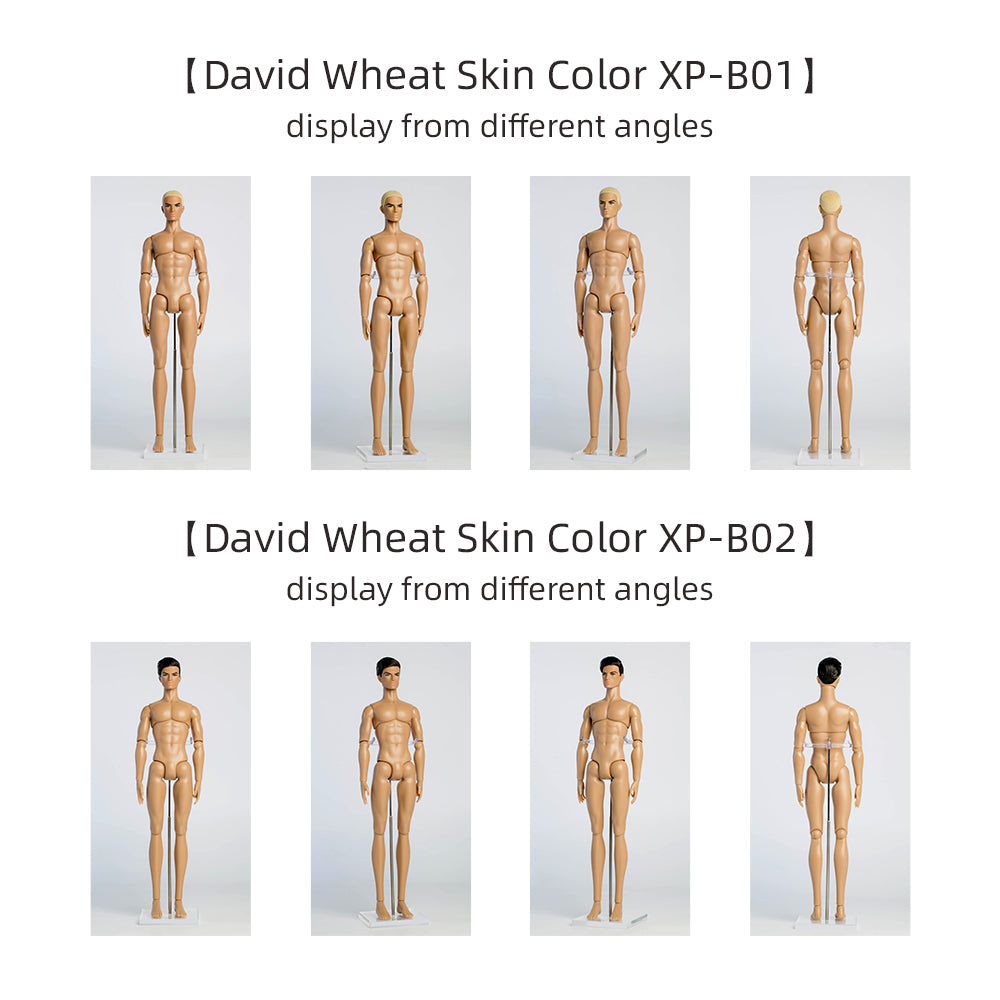 Wheat Skin Tone DAVID Male Fashion Doll (XP-B02)