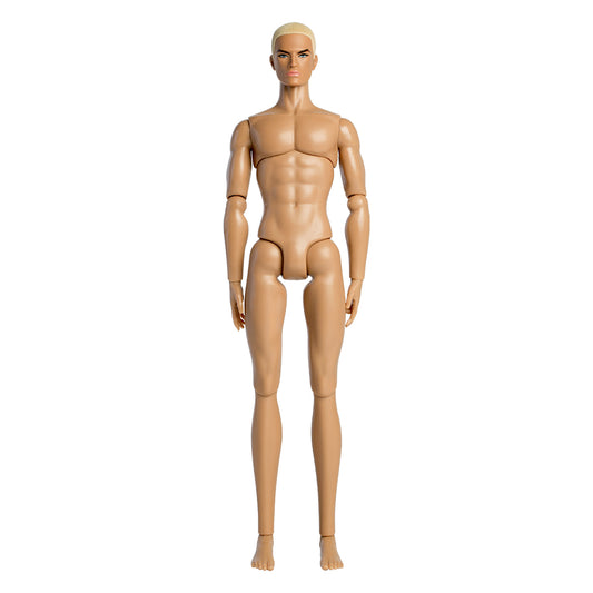 Wheat Skin Tone DAVID Male Fashion Doll (XP-B01)
