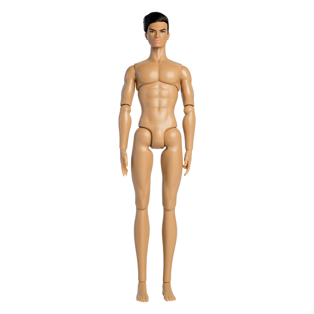 Wheat Skin Tone DAVID Male Fashion Doll (XP-B02)