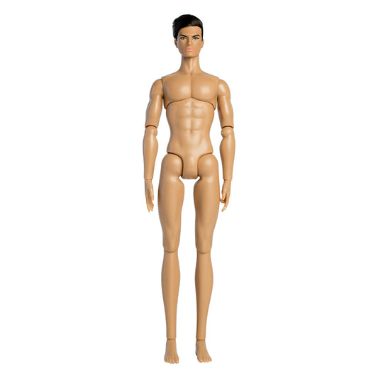 Wheat Skin Tone DAVID Male Fashion Doll (XP-B02)